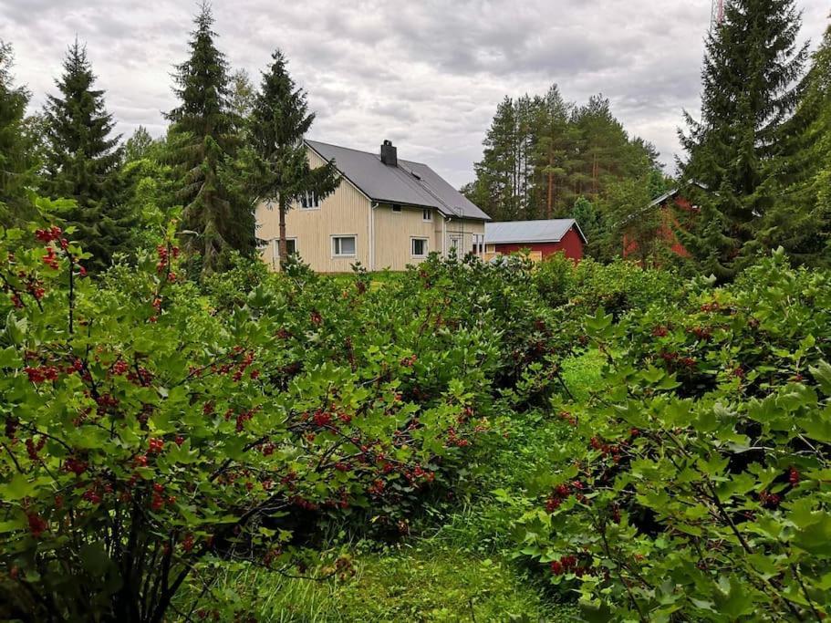 Vila Mukava Mummonmoekki Maaseudun Rauhassa Koivu Exteriér fotografie