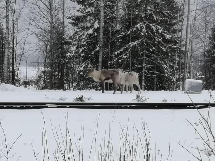 Vila Mukava Mummonmoekki Maaseudun Rauhassa Koivu Exteriér fotografie