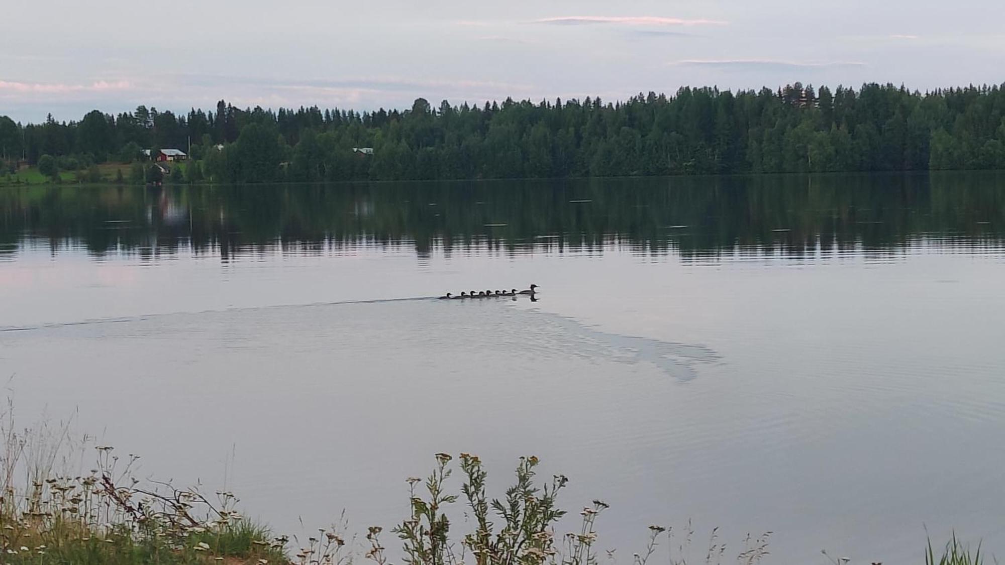 Vila Mukava Mummonmoekki Maaseudun Rauhassa Koivu Exteriér fotografie