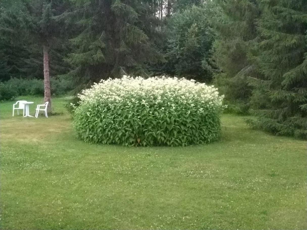 Vila Mukava Mummonmoekki Maaseudun Rauhassa Koivu Exteriér fotografie