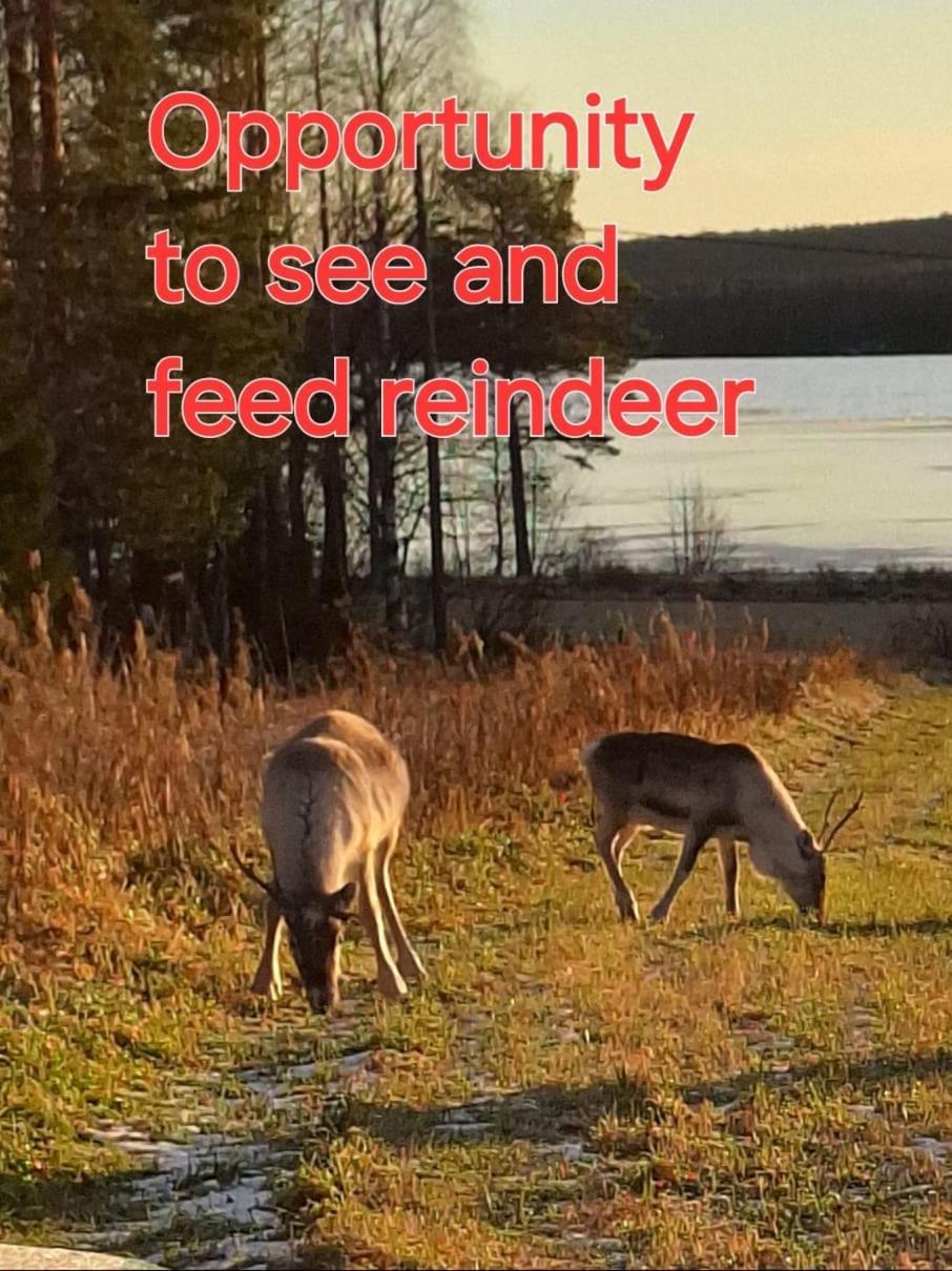 Vila Mukava Mummonmoekki Maaseudun Rauhassa Koivu Exteriér fotografie
